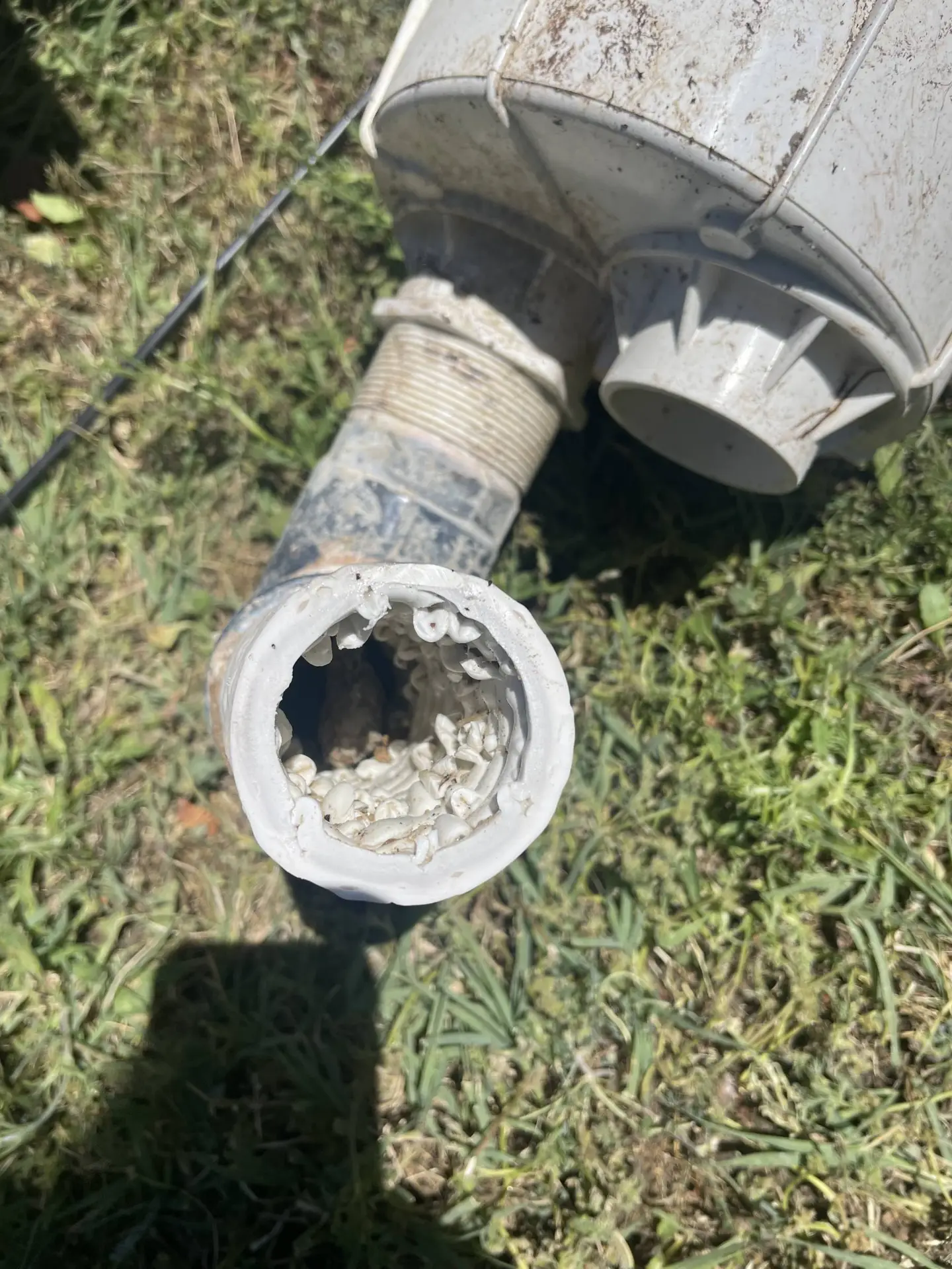 Les risques de l’utilisation des skimmers pour les produits de traitement de l’eau de la piscine