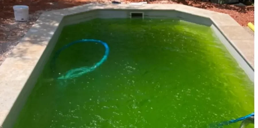 Comment rattraper une eau de piscine verte ?