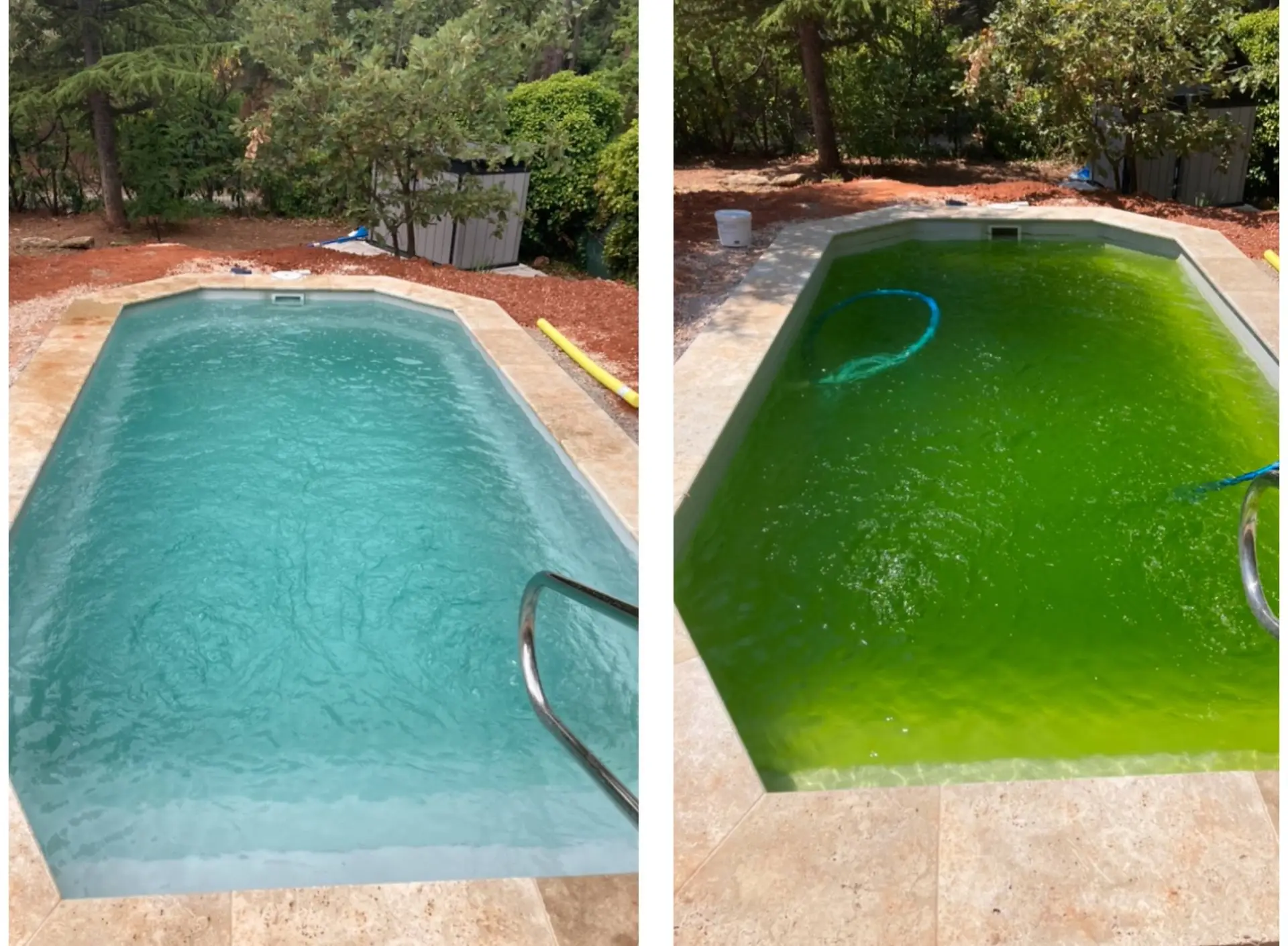 Comment rattraper une eau de piscine verte ?